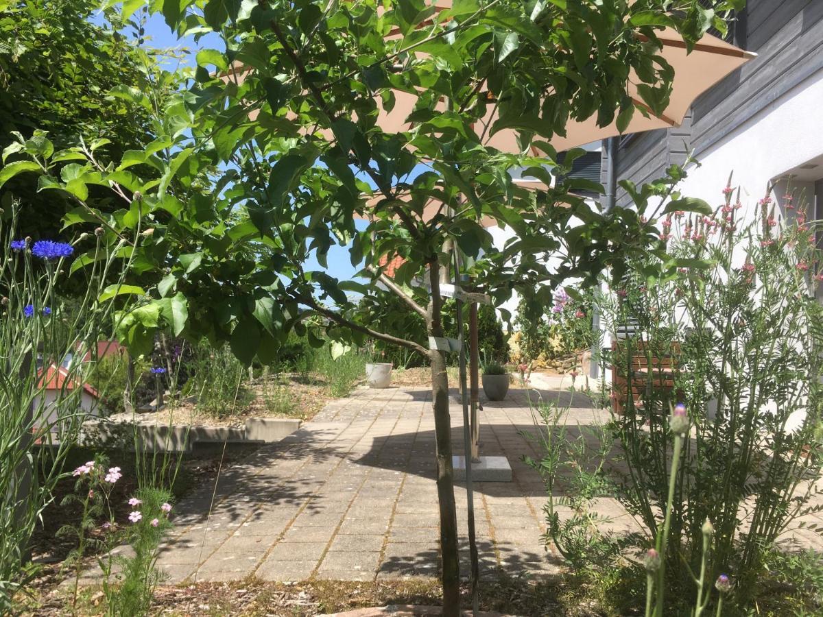 Sweetsuites 40A Lavendelhaus Mühlhausen Eksteriør billede